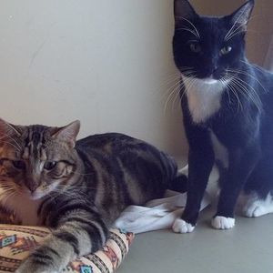 Meet your Posher, Larry